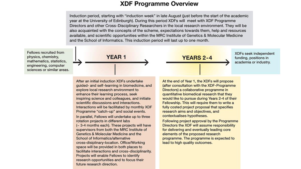 XDF Overview Schematic